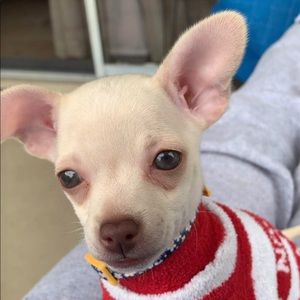 Meet your Posher, Cecily